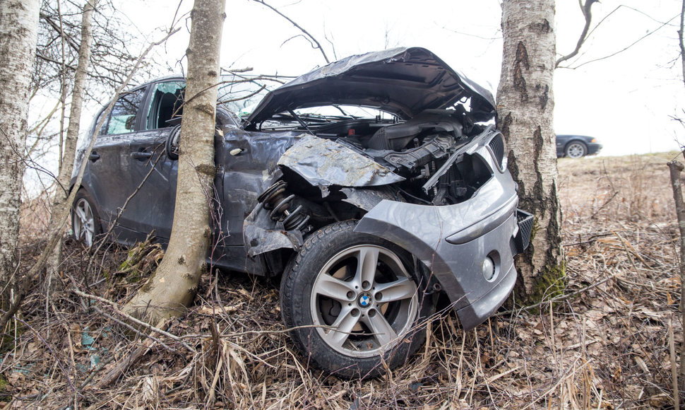 Vilkiko kliudytas BMW automobilis nulėkė nuo kelio