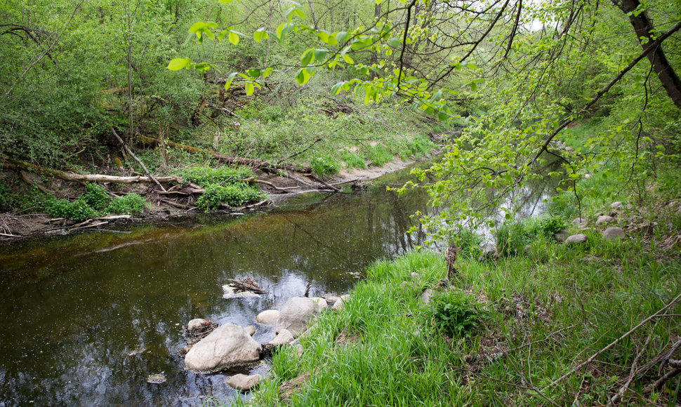 Sodų bendrija „Jiesia“