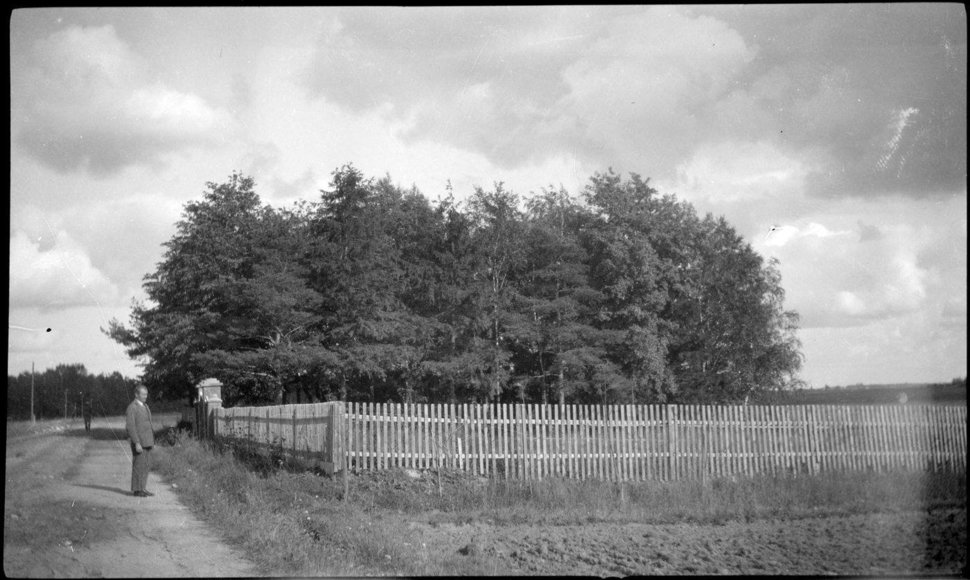 Laisvamanių kapinės Kruopiuos