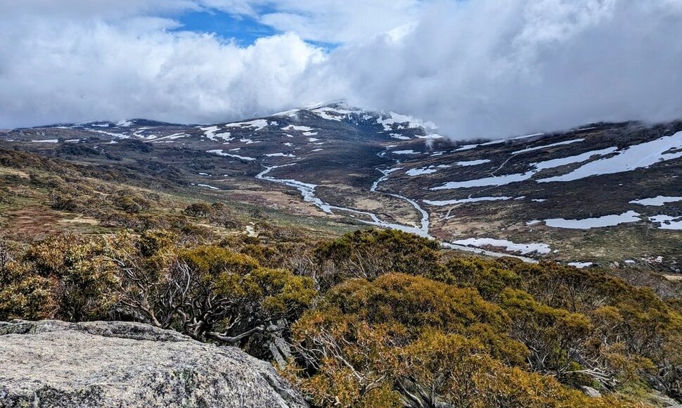 Kosciu&scaron;kos kalnas