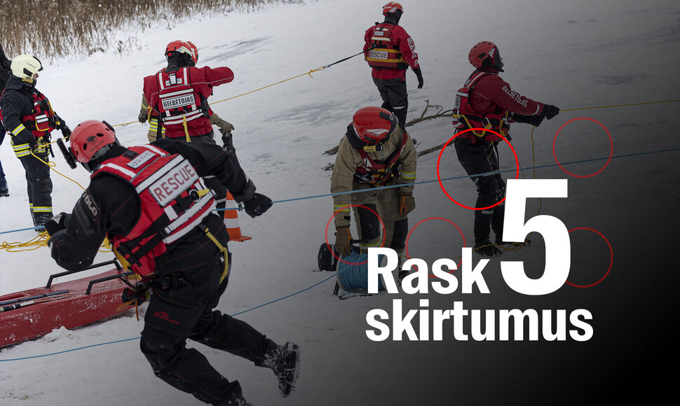 Žaidimas &bdquo;Rask skirtumus&ldquo;