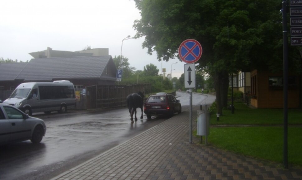 Įkrauk.lt nuotrauka