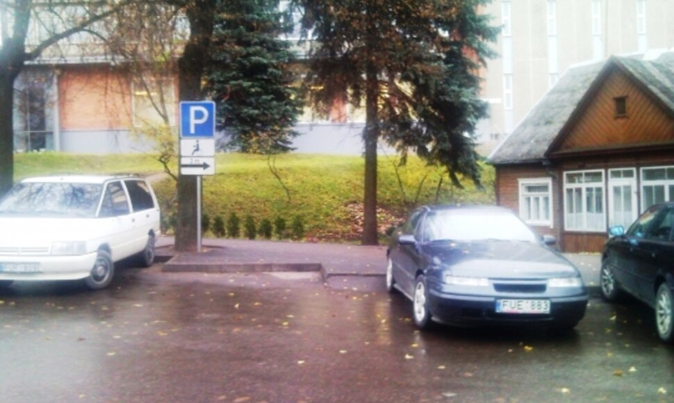 Įkrauk.lt nuotrauka