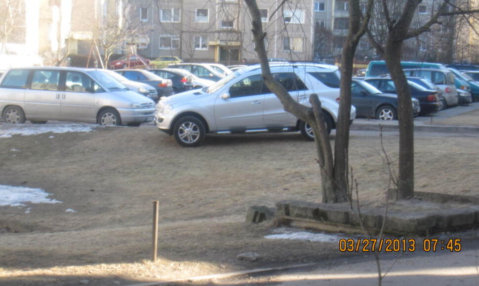 prabangus dzipas ...nemokama aisktele:D