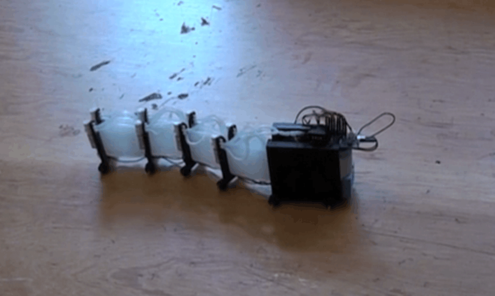Masačiusetso technologijų instituto mokslininkų sukurtas robotas-gyvatė