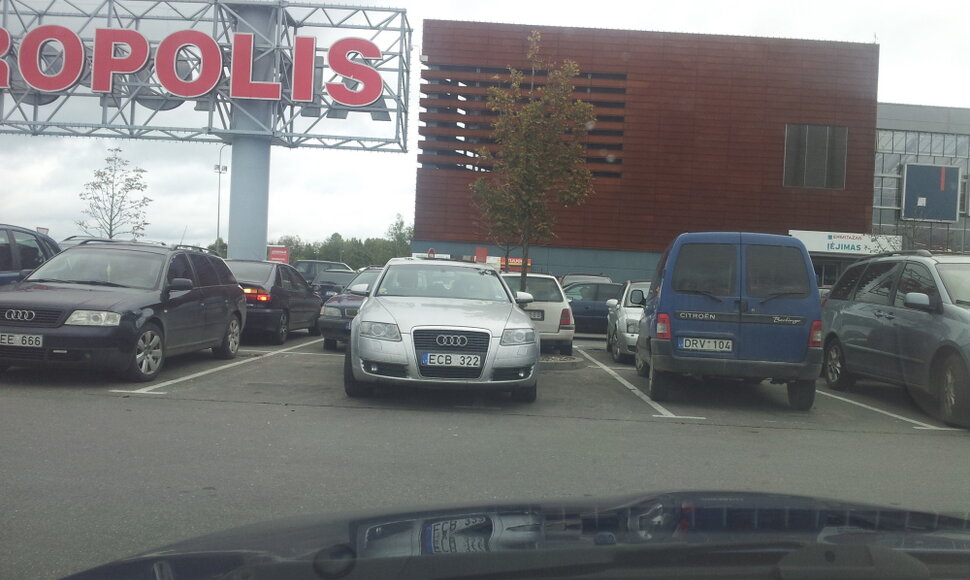 Vilniaus Akropolis
