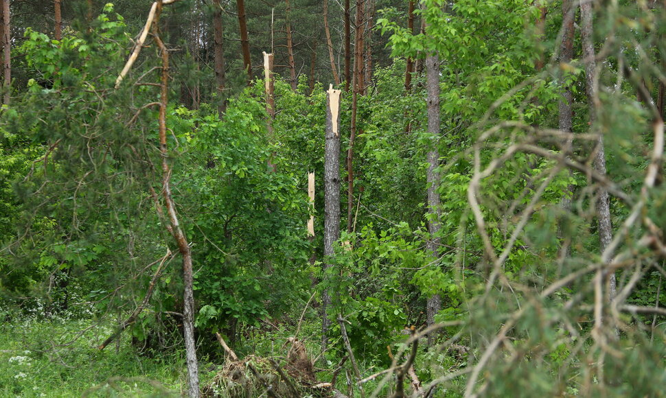 Audros padariniai Kuktiškėse