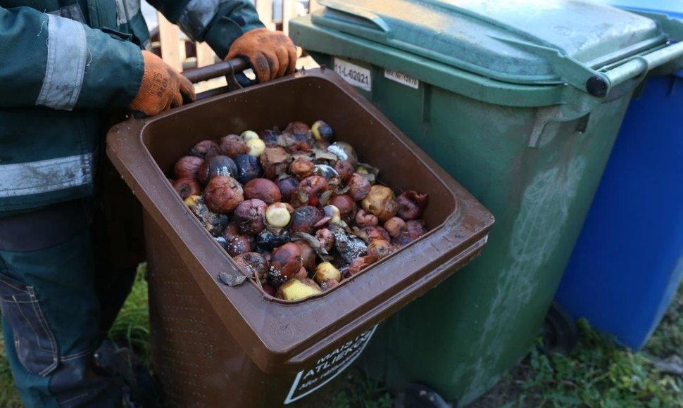 Maisto atliekų rūšiavimas