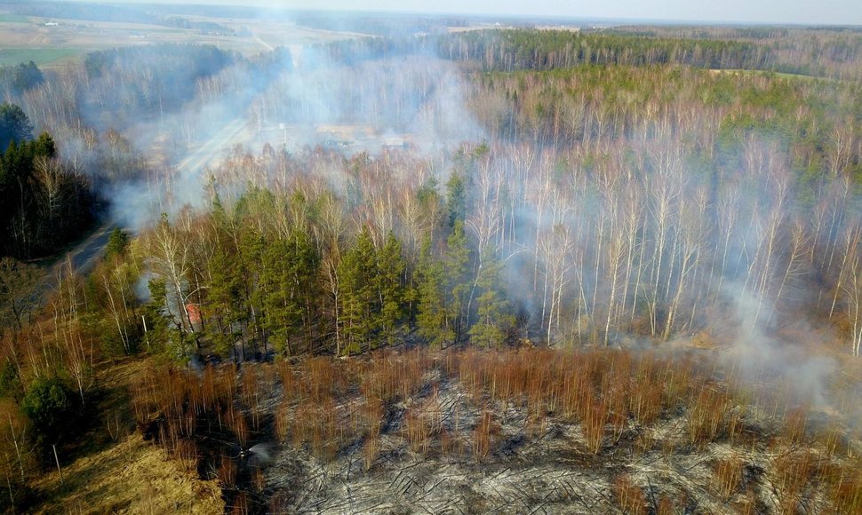 Netoli Eišiškių nuo degančios žolės gaisras įsimetė į mišką