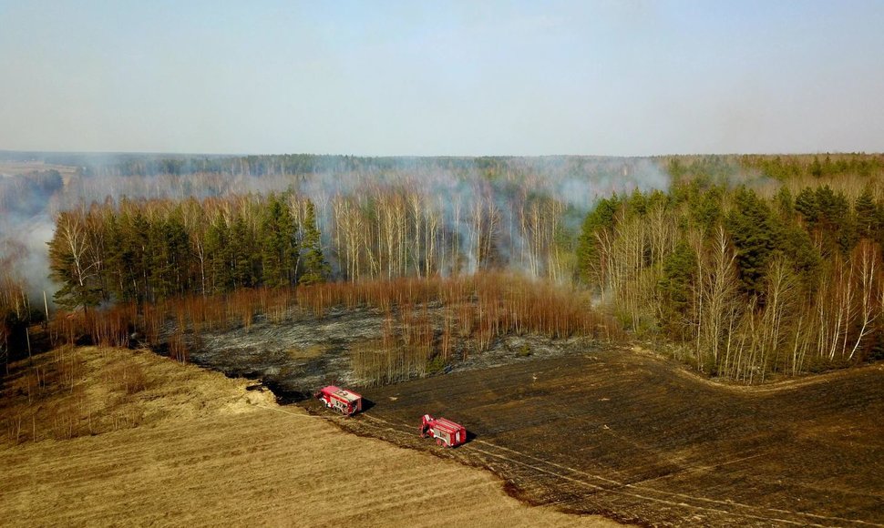 Netoli Eišiškių nuo degančios žolės gaisras įsimetė į mišką