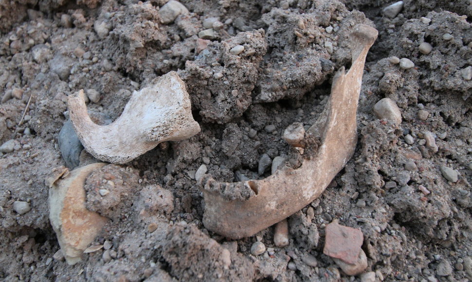 Archeologiniai kasinėjimai Žeimelyje