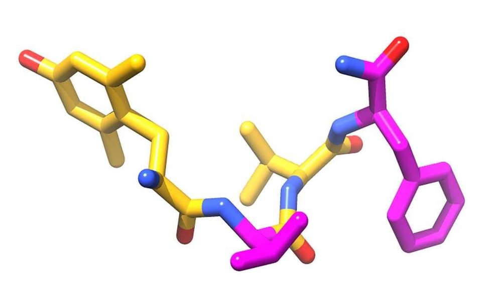 Neįprasta bilorfino struktūra: geltonai pažymėtos dešininės amino rūgštys, violetine - kairinės