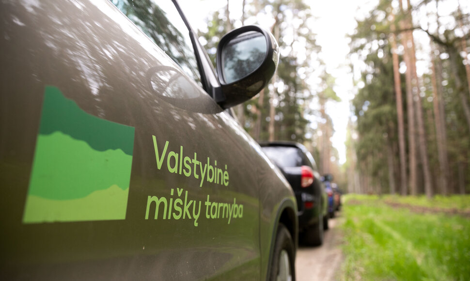 Ekskursija Punios &scaron;ile