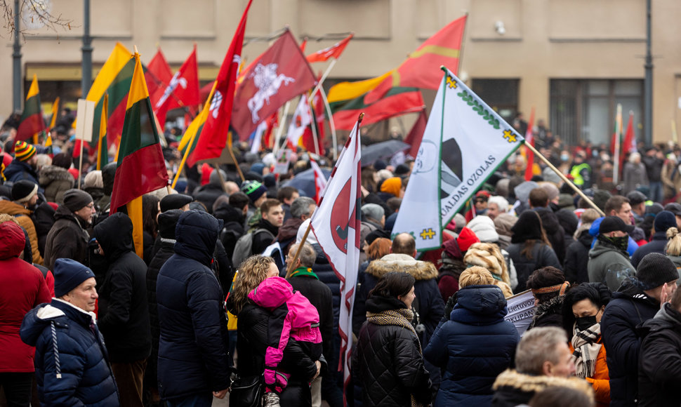 Protestas prie Seimo Sausio 13-ąją