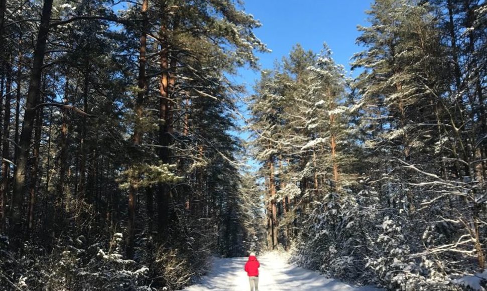 „TrenkTuro“ rengiamas „Žiemos žygis'19“