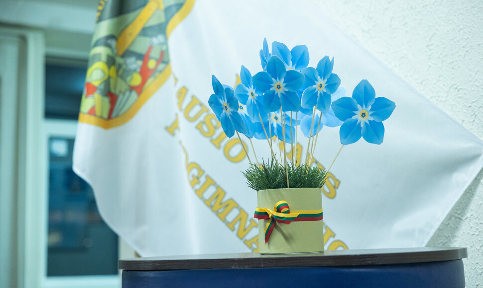 Pilietinė iniciatyva &bdquo;Pergalės &scaron;viesa&ldquo;