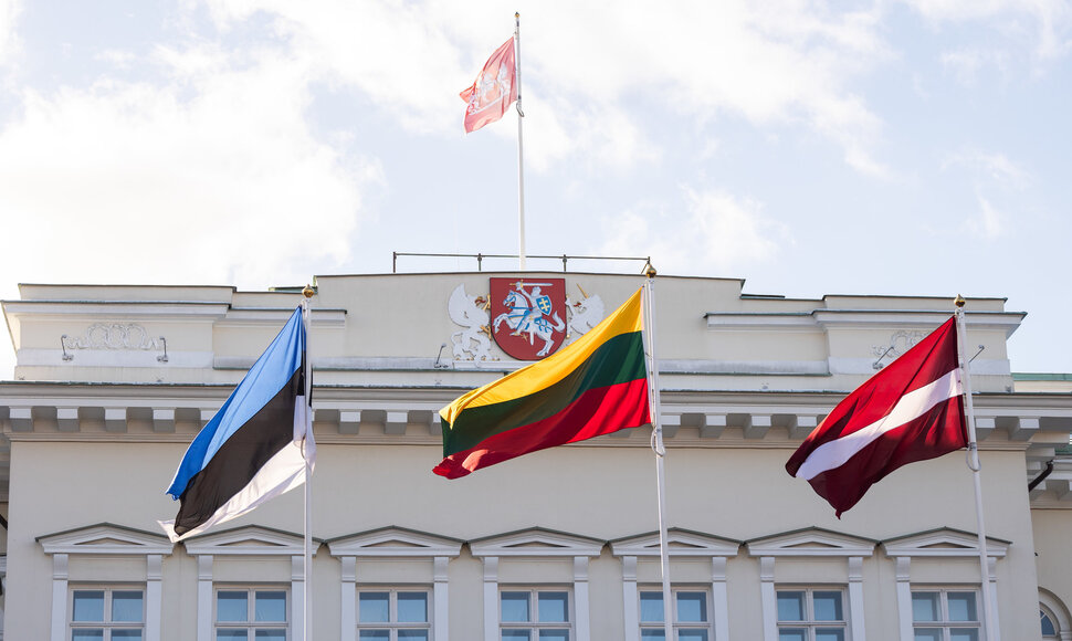 Baltijos valstybių vėliavų pakėlimo ceremonija Simono Daukanto aik&scaron;tėje
