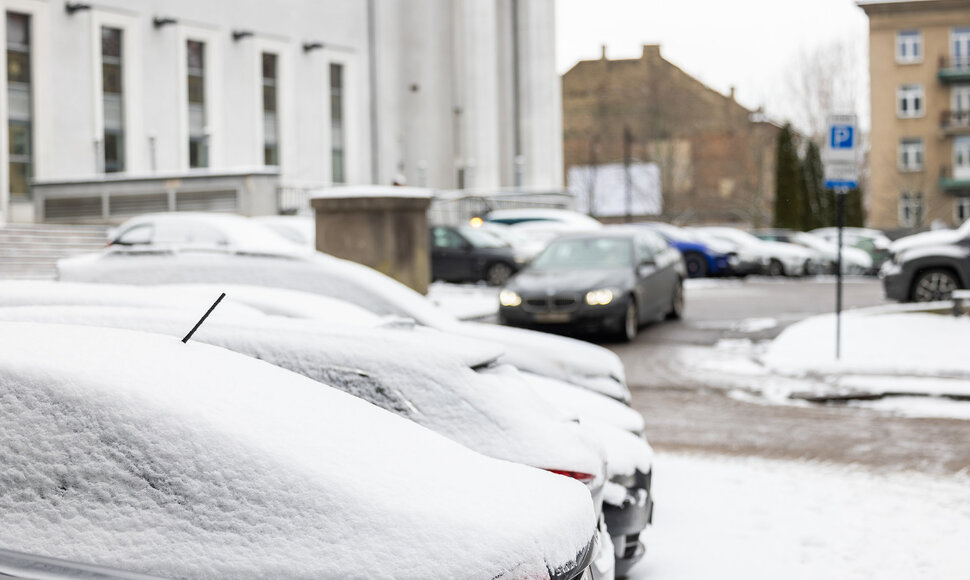 Vilniuje gausiai prisnigo