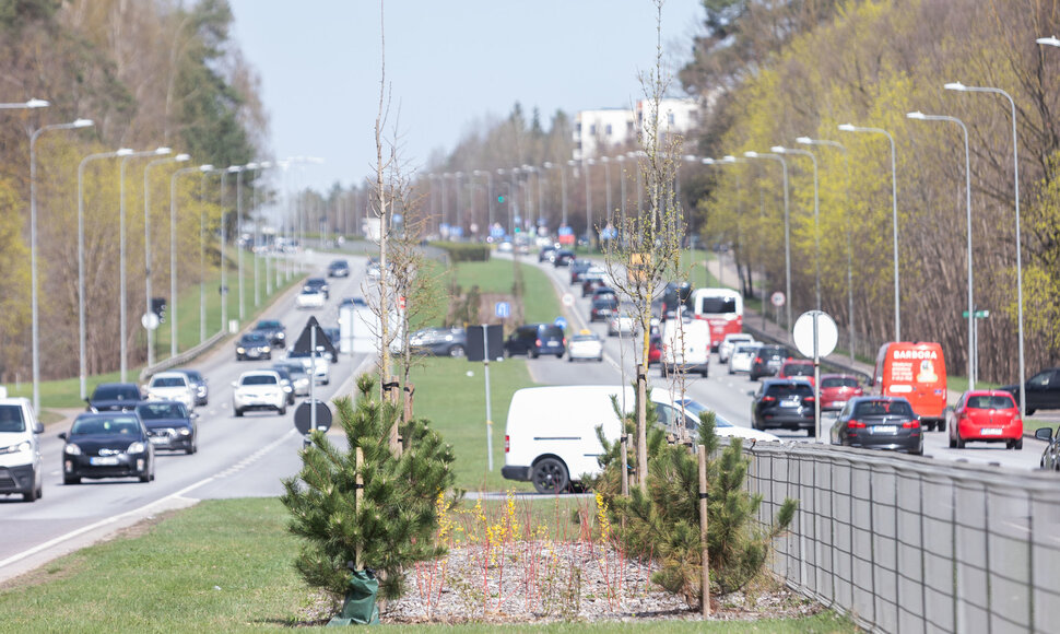 Pu&scaron;elės Geležinio Vilko gatvėje