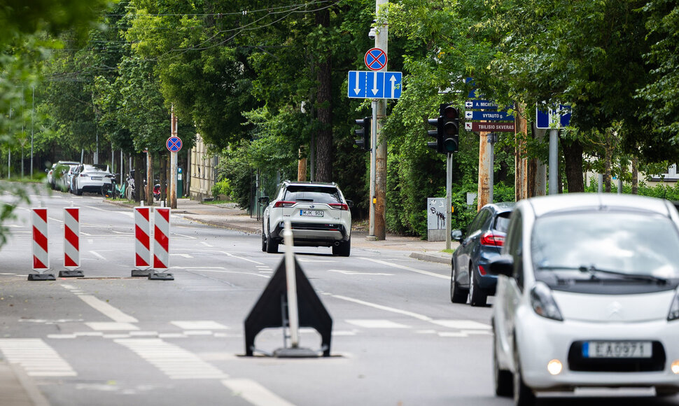Žveryne dingo elektra