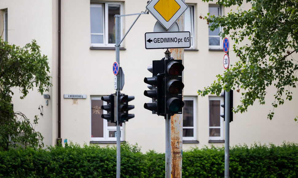 Žveryne dingo elektra