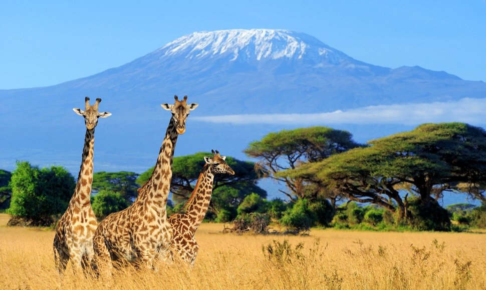 Amboselio nacionalinis parkas, Kenija