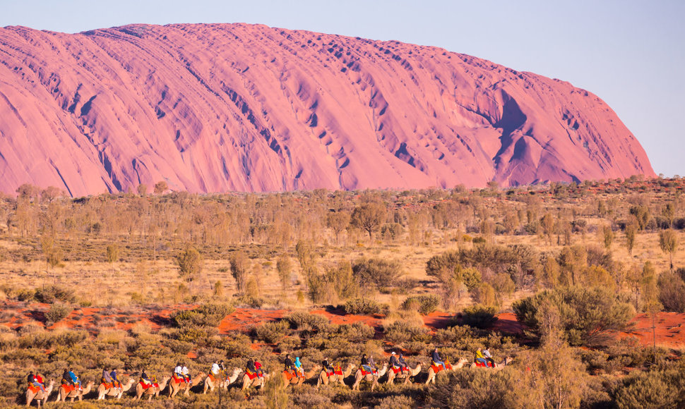 Pramogos prie Uluru uolos įdienojus, Šiaurės Australija