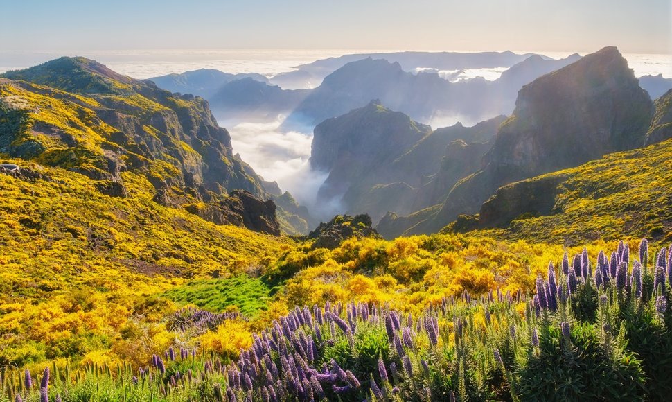 Madeira