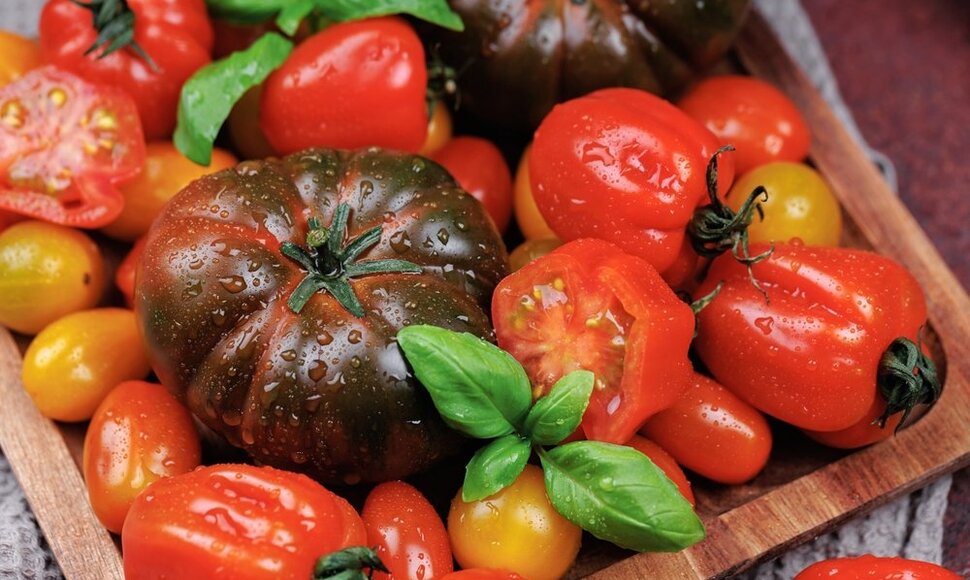 Pomidorai