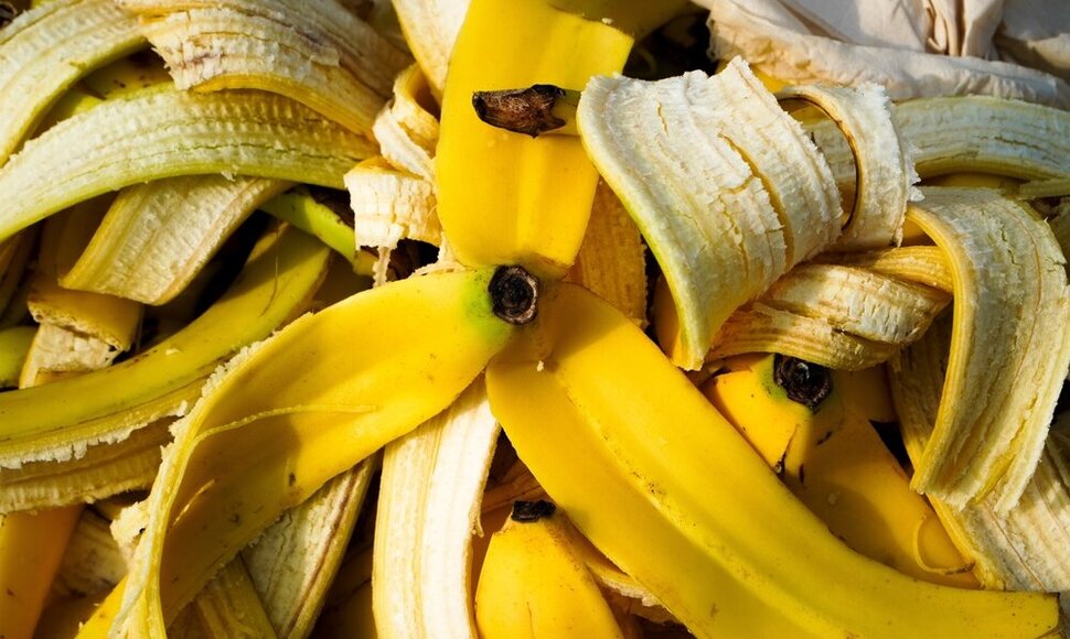 Bananų žievės