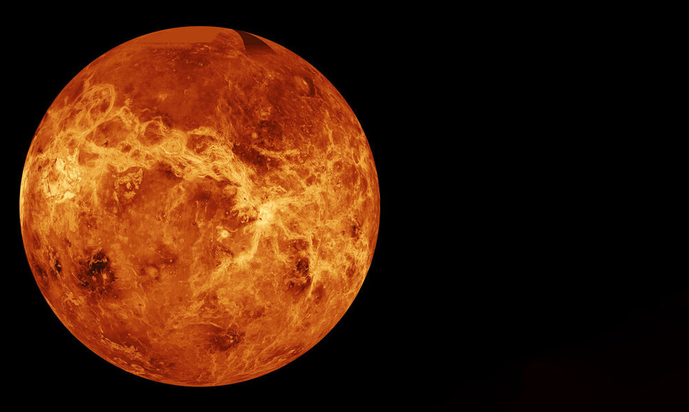 Venera