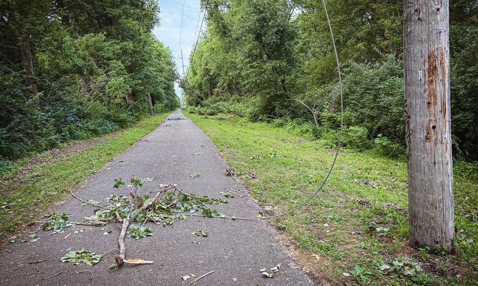 Nutrūkę elektros laidai