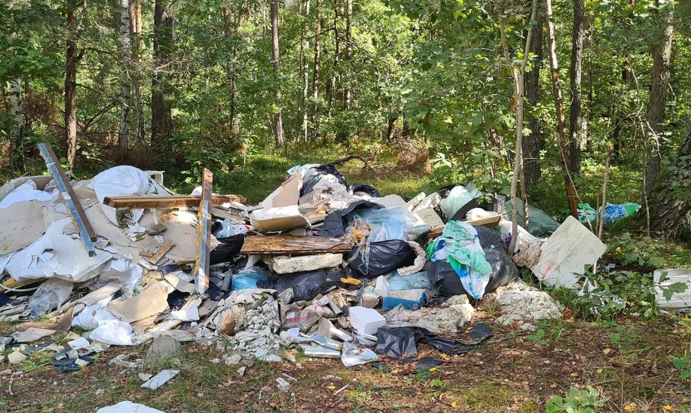 Lietuvoje pirmąkart rengiama akcija „Miško kuopa“: miškininkai kviečia kartu tvarkyti miškus