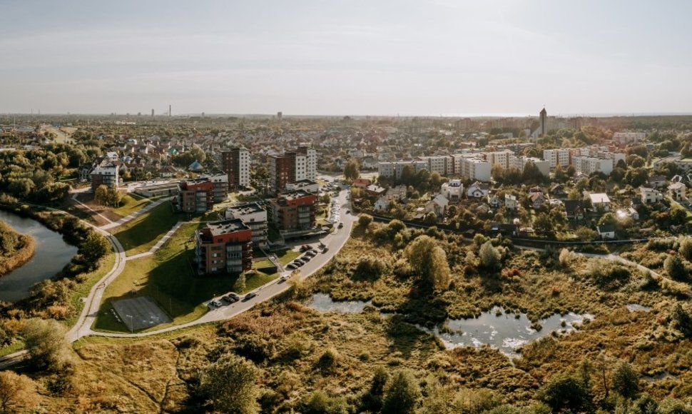 Klaipėdą dengia žaluma