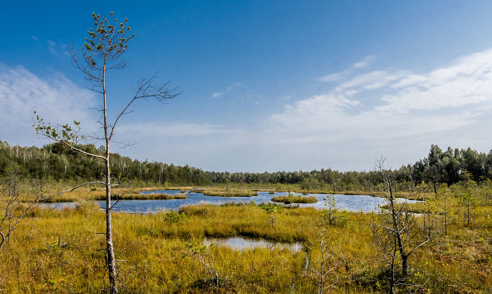 Varnikų pažintinis takas