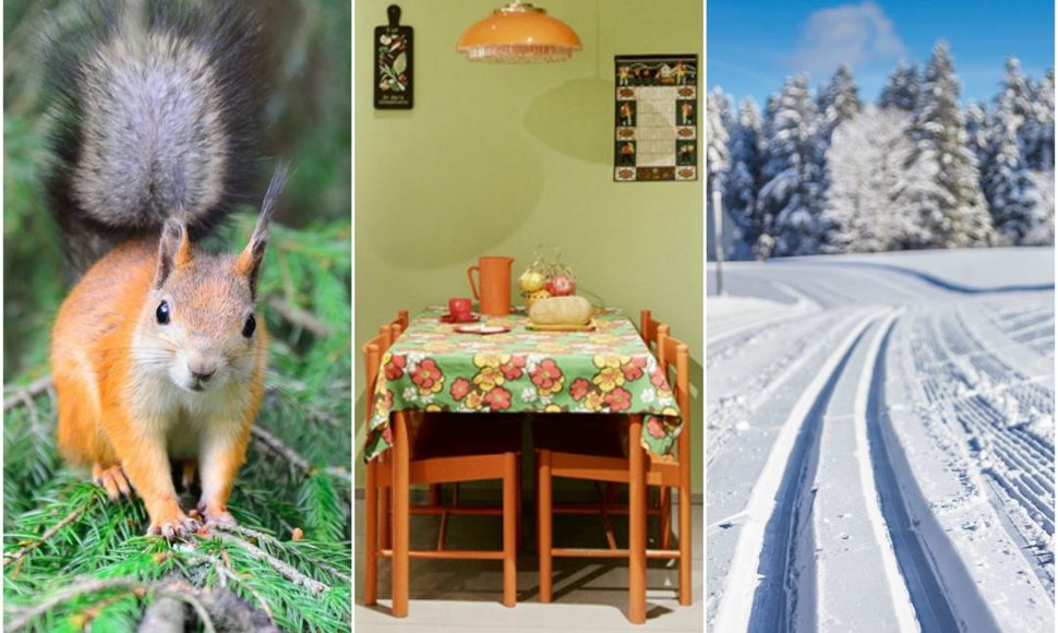 Voverės, slidinėjimo trasos ir Helsinkio Sederholmo namų muziejus vaikams