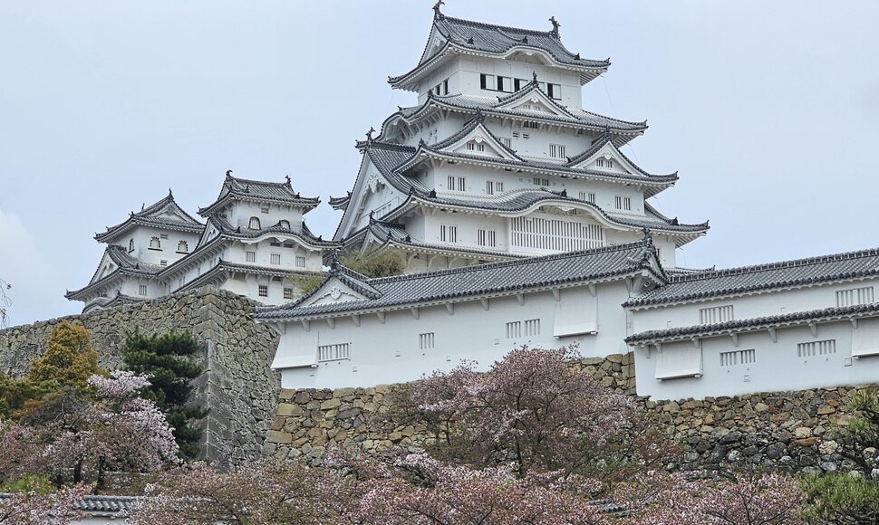 Džiugo Siaurusaičio ir Linos Rastokaitės kelionė po Japoniją