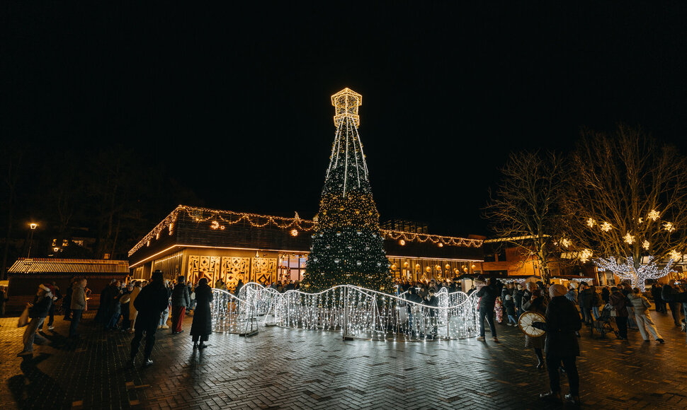 Nidos Kalėdų eglės įžiebimas