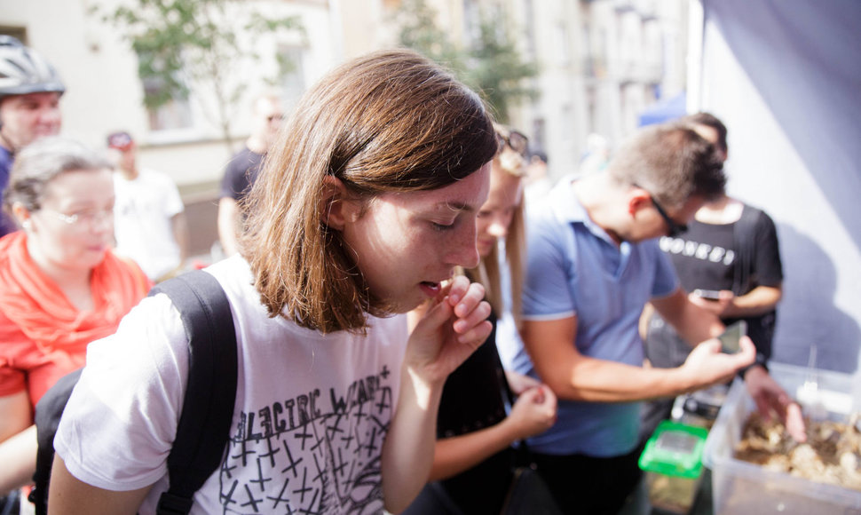 Maisto šventė šalia Halės turgaus