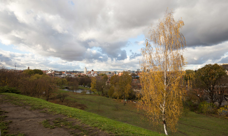 Vilniaus miesto gamta numeta rudeninius lapus