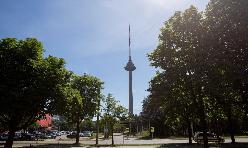 Medžių alėja Karoliniškėse, prie L.Asanavičiūtės g.