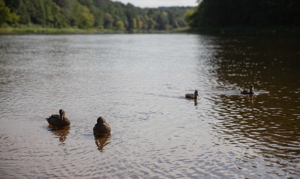 Valakampių paplūdimys po vasaros sezono