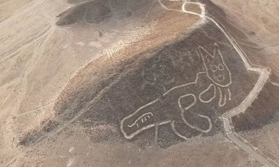 Garsiojoje Naskos archeologinėje vietovėje Peru – katės piešinys