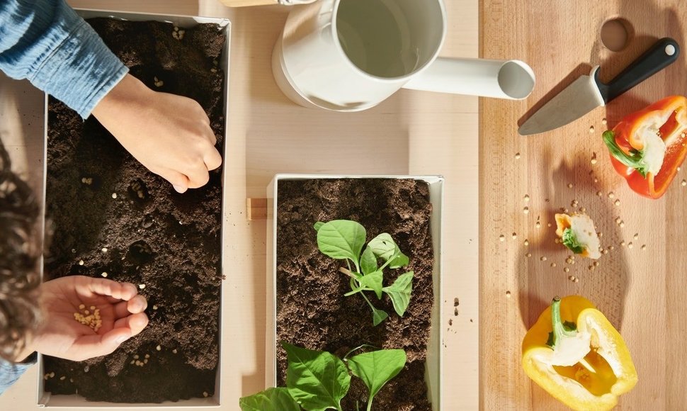 Planting with IKEA