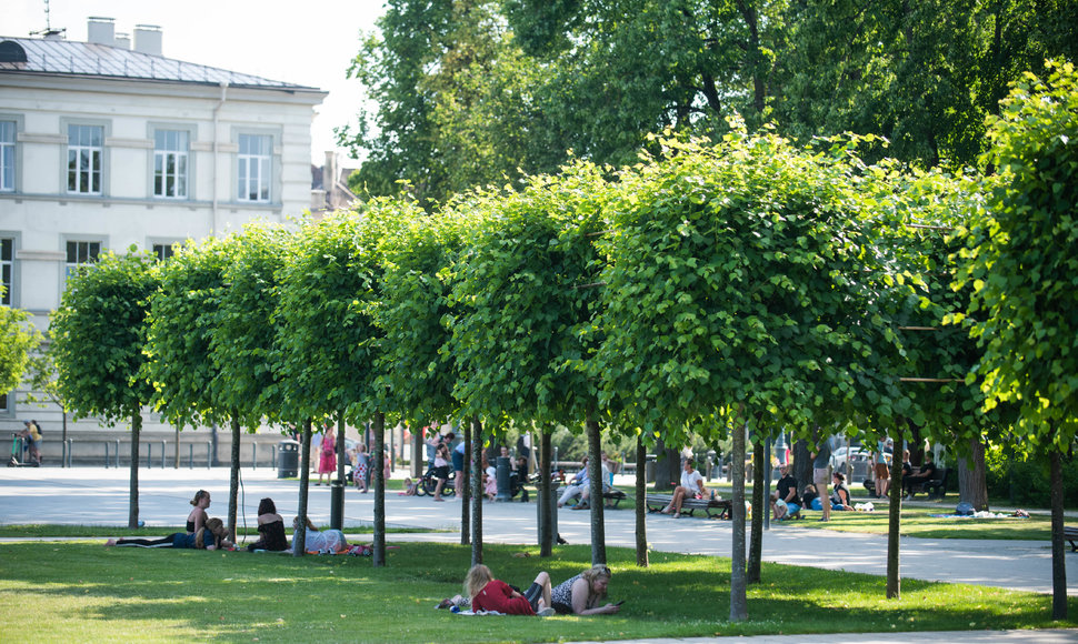 +31°C karščio Vilniuje