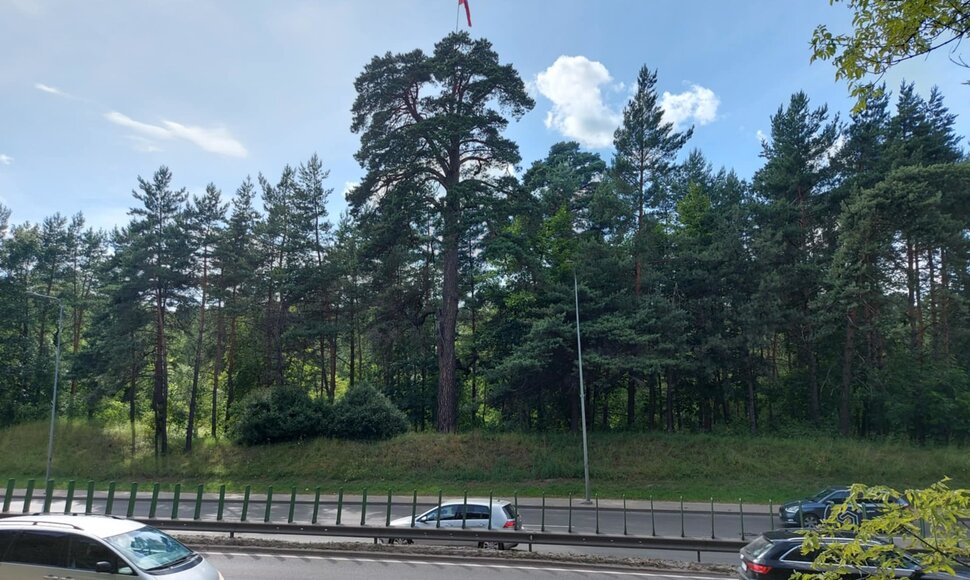 Vytis Geležinio vilko gatvėje
