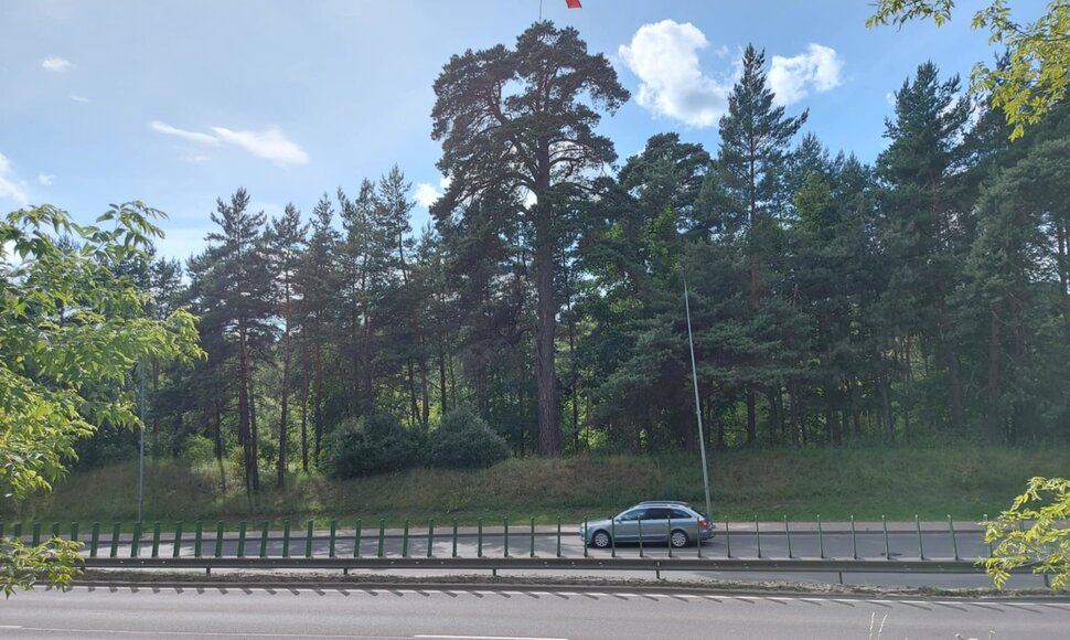 Vytis Geležinio vilko gatvėje