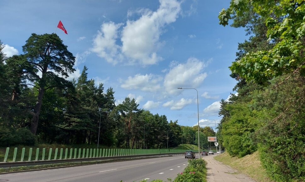 Vytis Geležinio vilko gatvėje