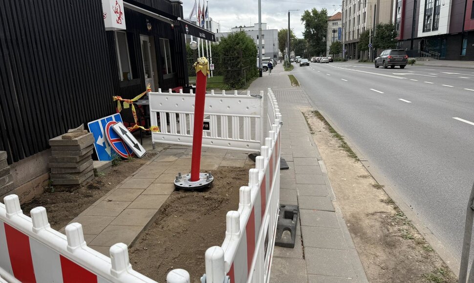 Stulpas vidury &scaron;aligatvio