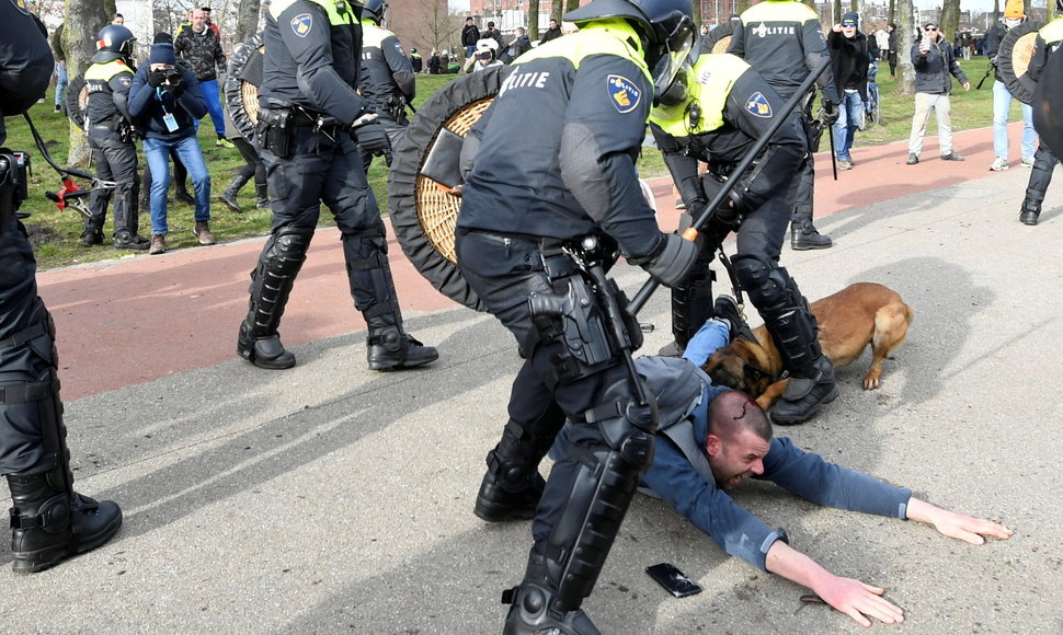 Protestas Hagoje